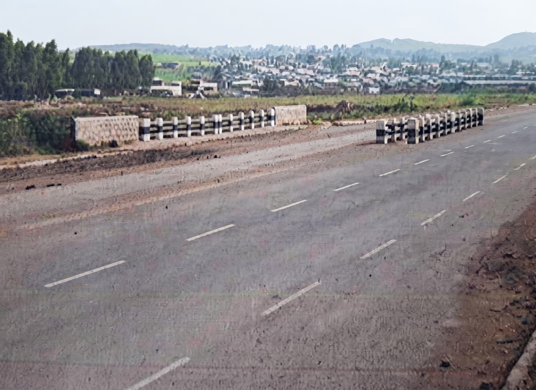 Construction of Debri Bridge Project (Civil & Structural Works)